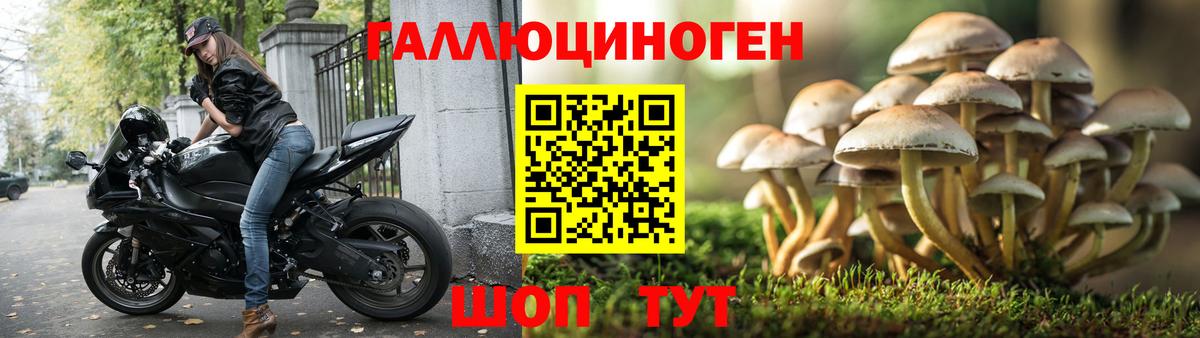 Псилоцибиновые грибы MAGIC MUSHROOMS  Вход с VPN  Ялуторовск  Псилоцибиновые грибы MAGIC MUSHROOMS 